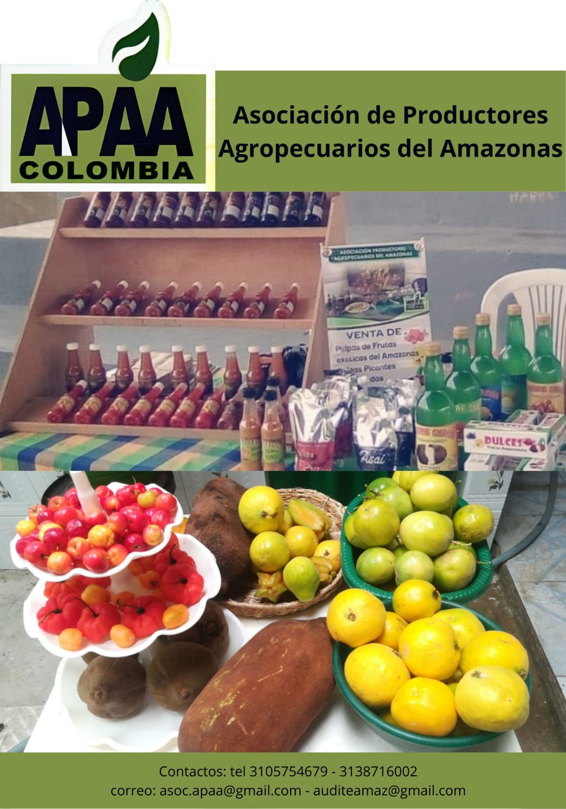 Acerca de nosotros